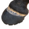 Easyboot Glue-On