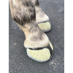 EasyShoe One Glue