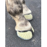 EasyShoe One Glue