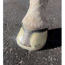 EasyShoe Speed