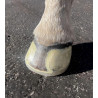 EasyShoe Speed
