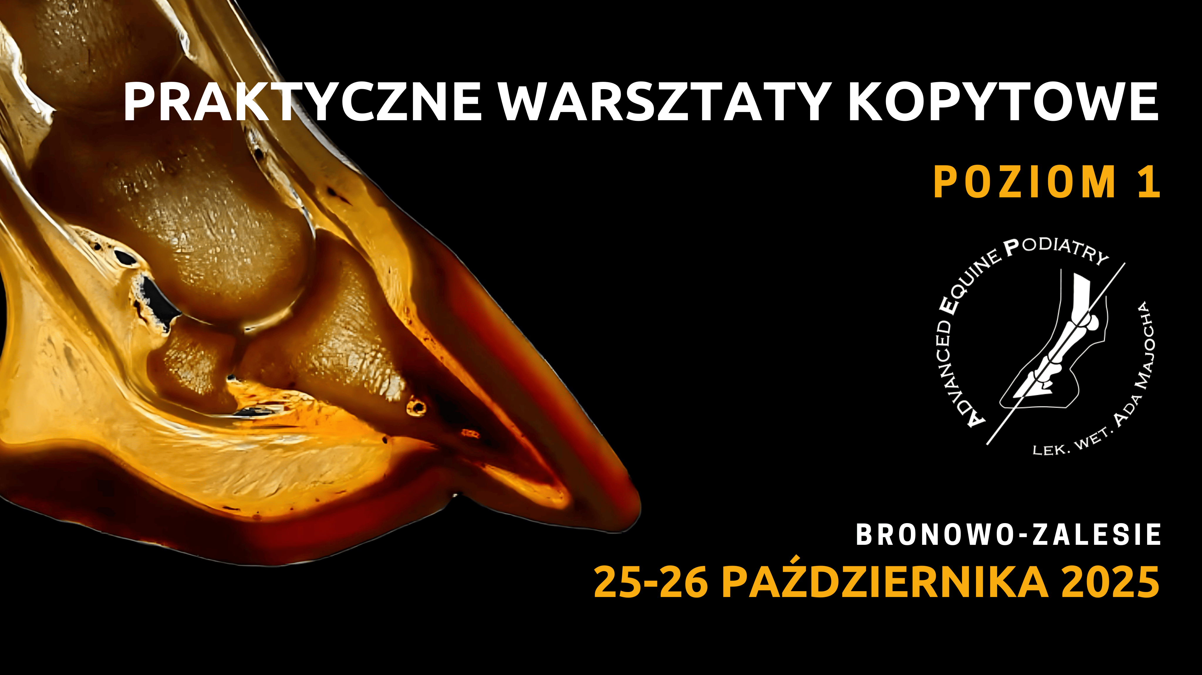 Praktyczne Warsztaty Kopytowe, Poziom 1